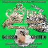 GeoBra 2018